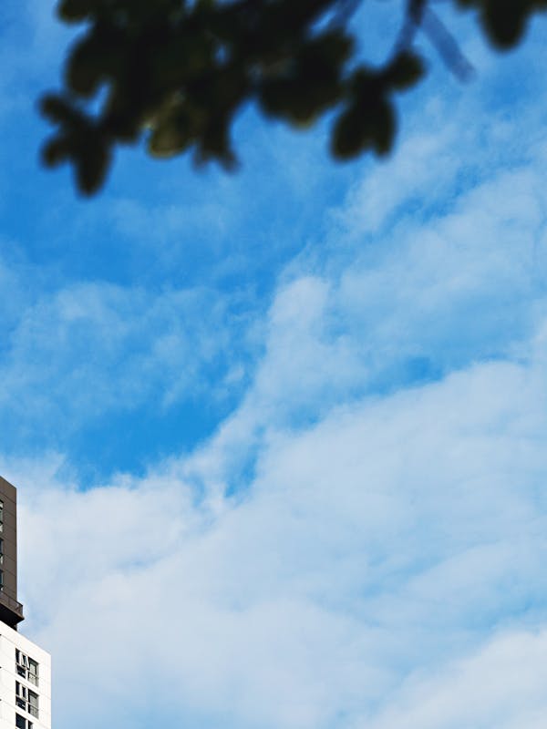 pexels photo 430214 4